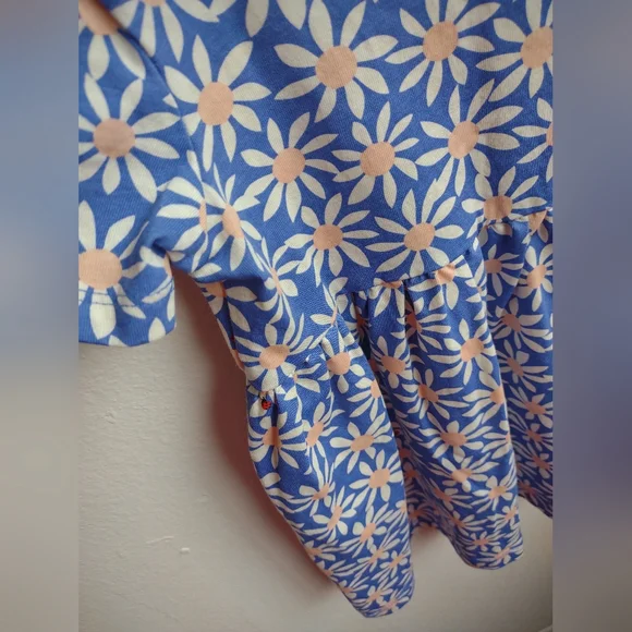 Hannah Anderson Blue Floral Ladybug Girls Dress Sz 3T - Picture 4 of 6